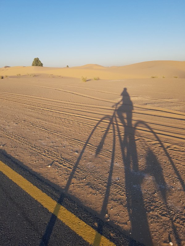 Biking in Al Qudra
