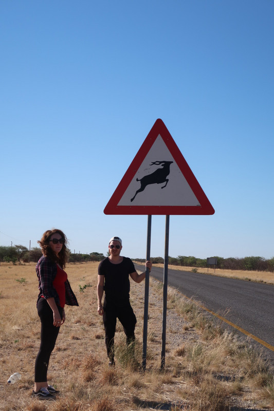 Kudu crossing