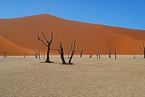 Deadvlei and Big Daddy