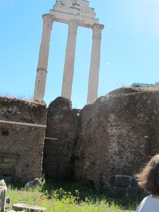 standing columns