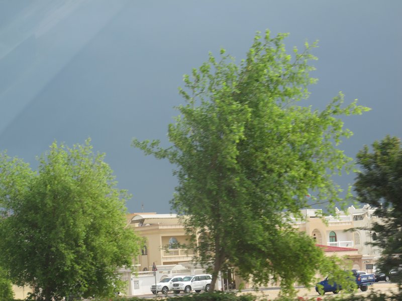 Rainstorm in Qatar