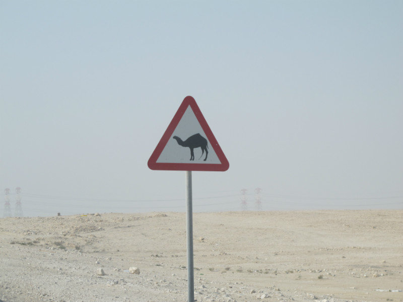 Watch for Camels!