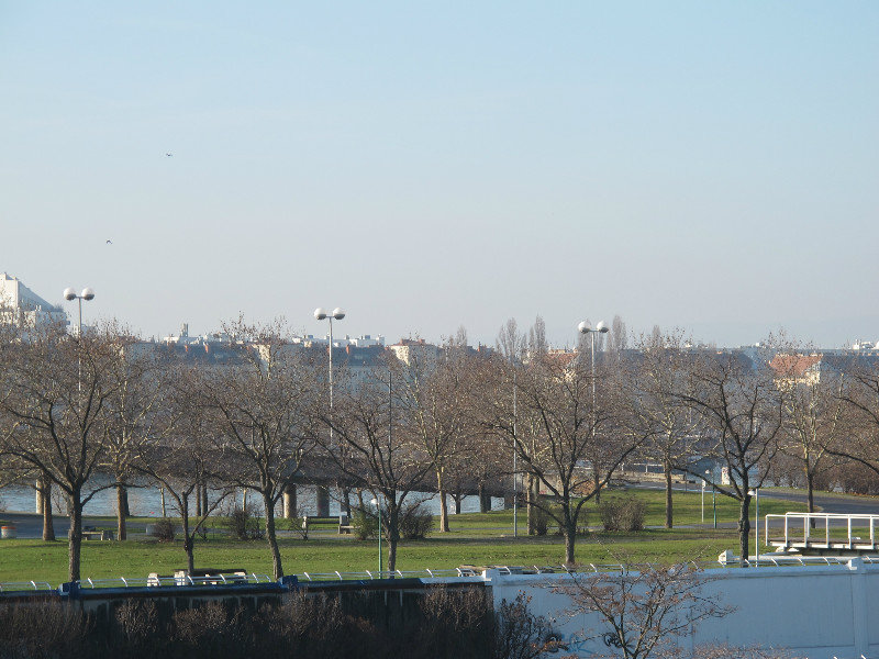 Park between the Danube and New Danube