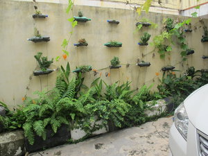 Reused containers for plants