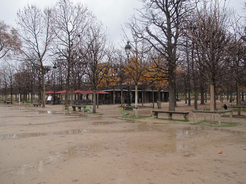 Palace garden area