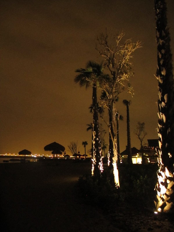 Night stroll along the beach