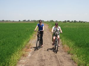 Ayutthaya bike tour