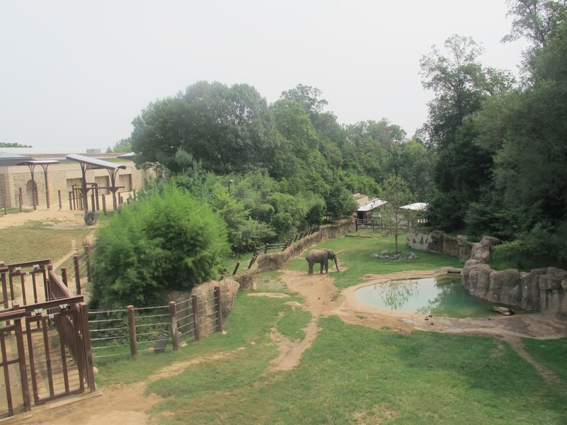 National Zoo - Elephant Trail