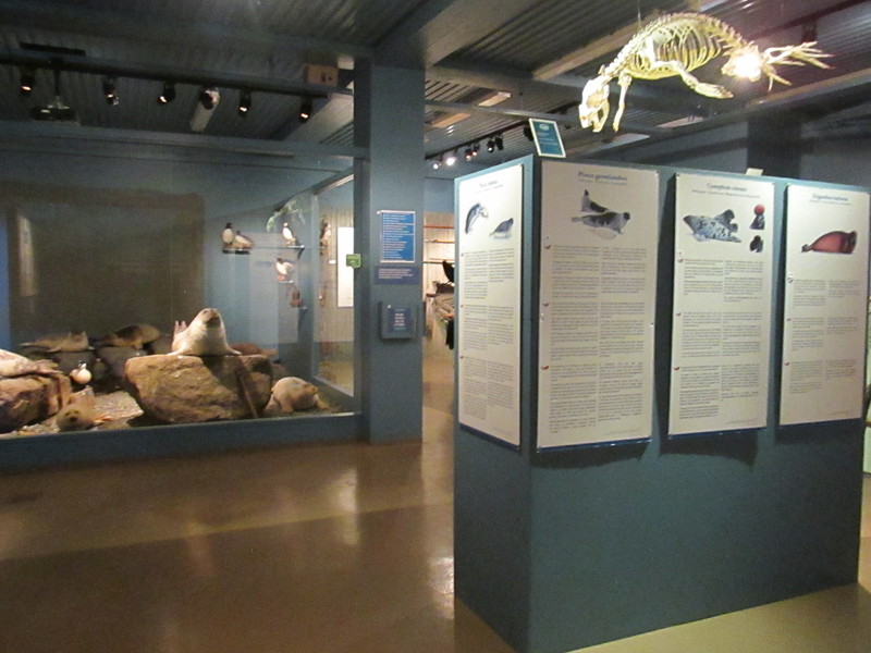The Seal Museum