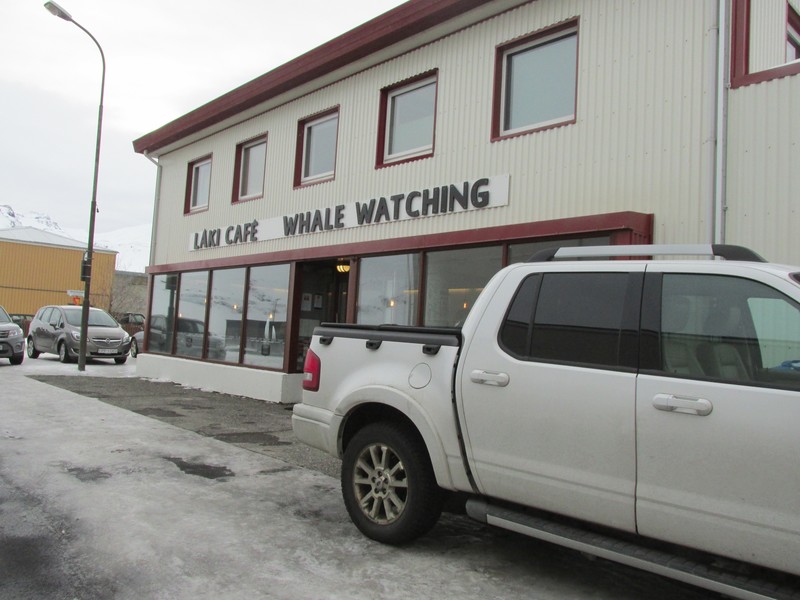 whale watching / restaurant