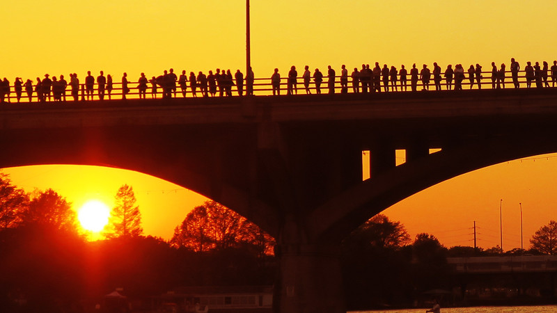 People waiting for the bats at sunset