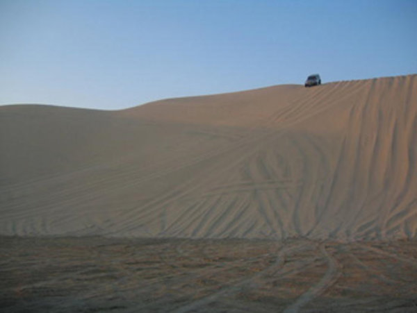 Qatar Sand Dunes (from Google Images)