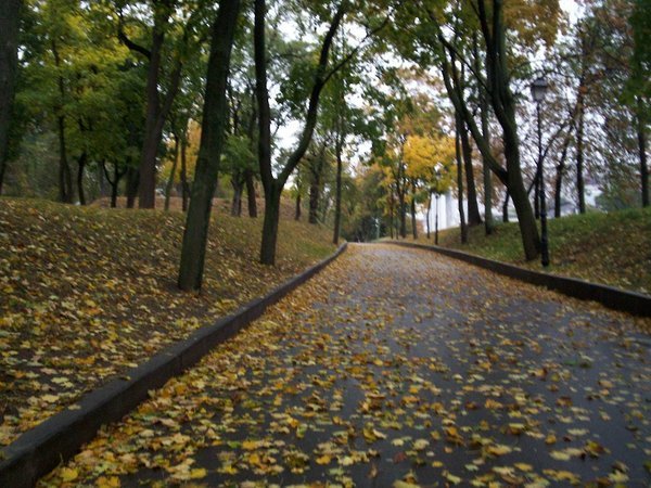 Fall in Kiev