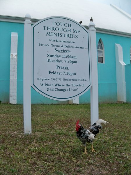Church Sign with Chicken