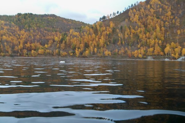 Beautiful Foliage along Lake Baikal