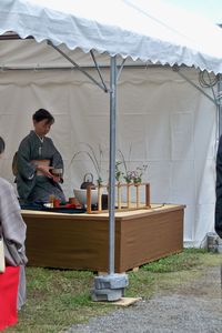 Tea Ceremony at Hamarikyu Gardens
