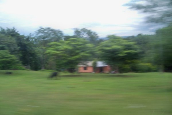 Rural Area of Paraguay
