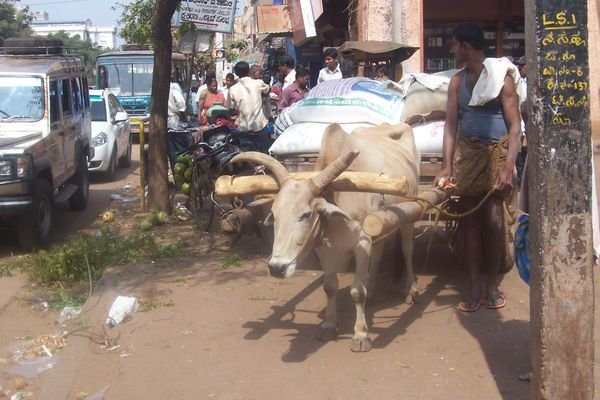 The Chaotic Streets of Hospet