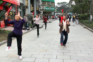 Fan Tai Chi 1