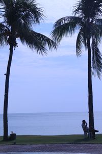 beneath the coconut tree