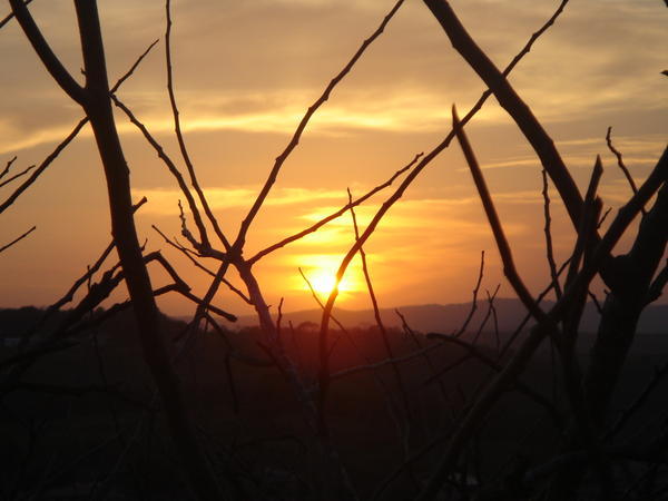 San Ignacio Sunset