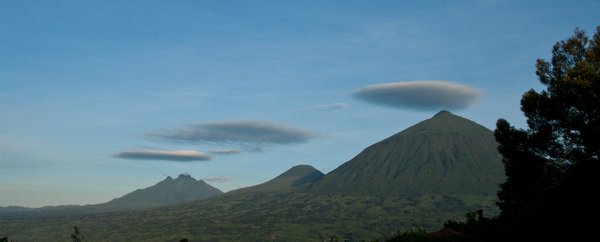 The Virunga Volcanoes