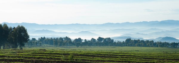 Rwanda's Misty Hills