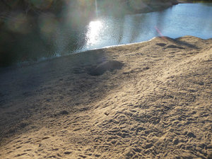 Strange mounds on the river bank