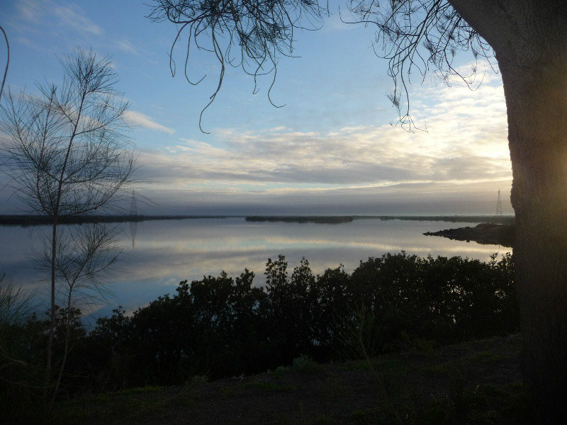 View from the Caravan park onto the Port Pirie Harbour