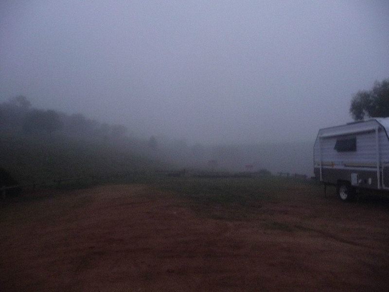 018 Misty morning 2