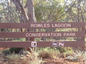 022 Rowles Lagoon