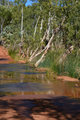 027 Crossing Fortescue River West