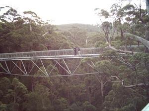 Tree Top Walk, Western Australia