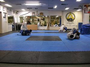 Gracia Barra Jiu Jitsu Class, Sydney