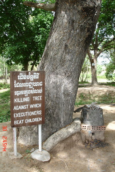 A Tree Used To Kill Babies....