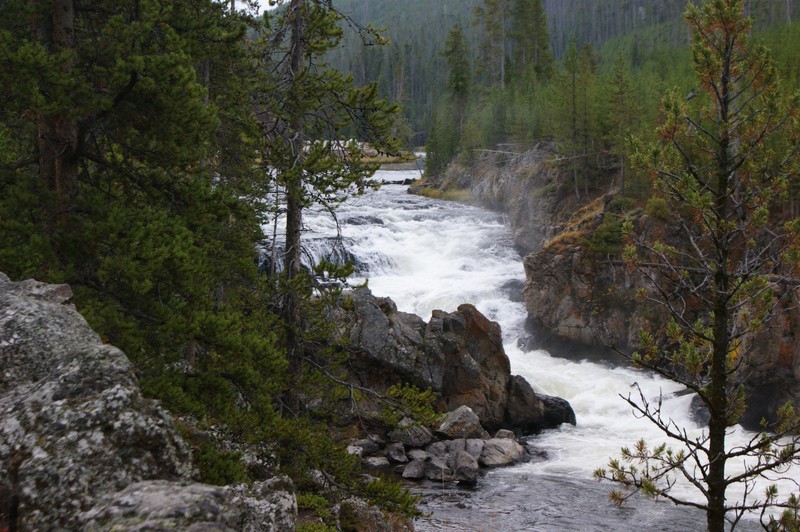 Rapids in the Firehole River