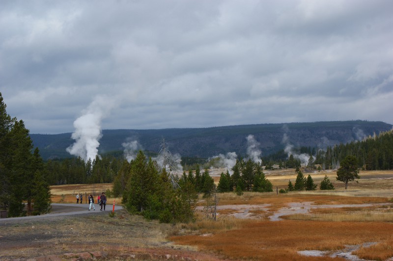 Thermal area