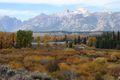 Fall colors in the Tetons 