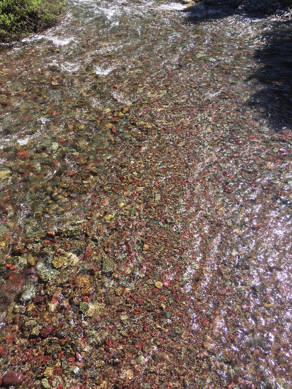 Colorful river rocks