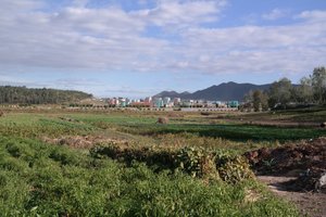 Chongsan Co-operative Farm