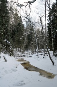 Altja Nature Trail