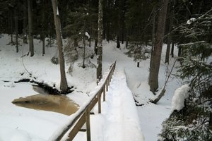 Altja Nature Trail
