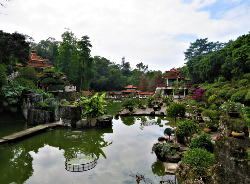 Bonsai Garden 
