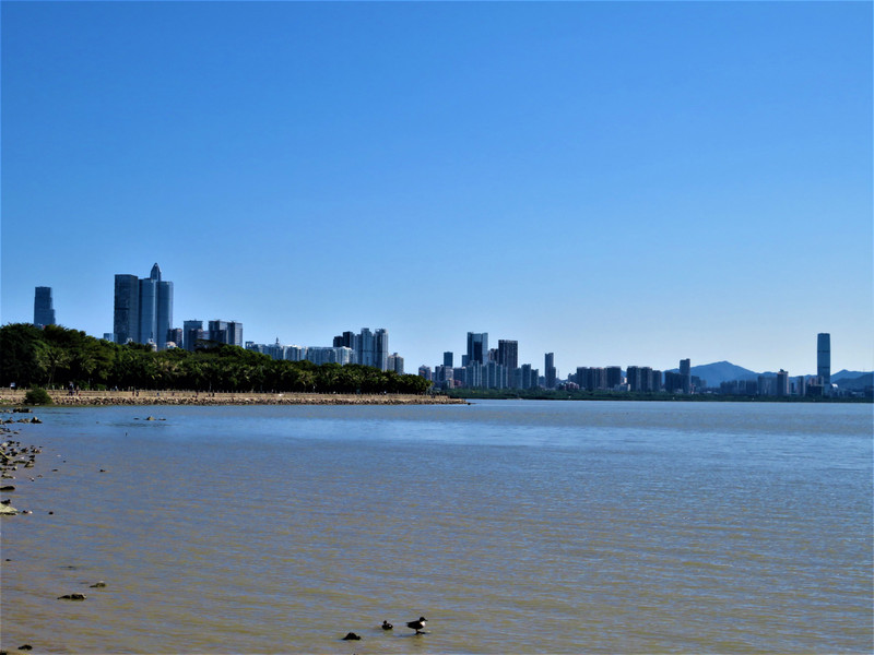 Shenzhen Bay Park