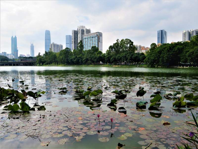 Honghu Park