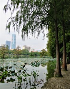 Honghu Park