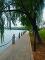 Qingshan Lake Park