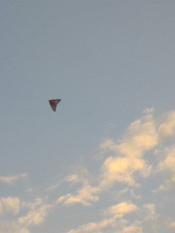 Kite Flying High
