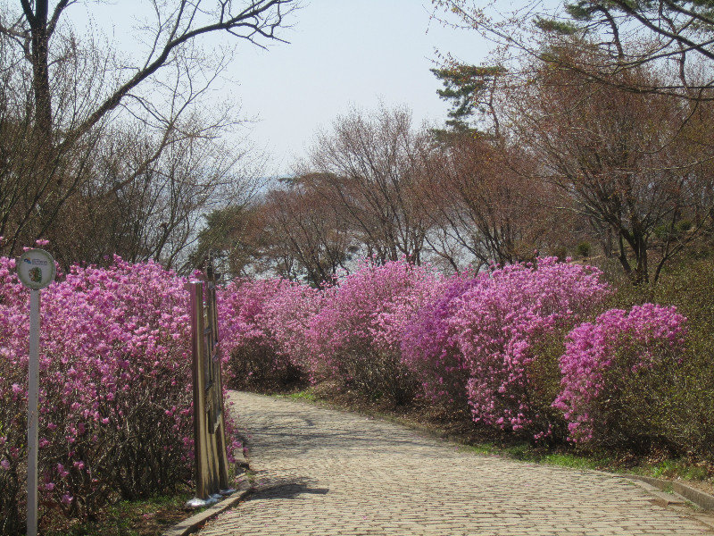 Gwangseongbo Fortress