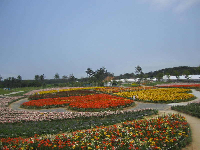 Flower Festival